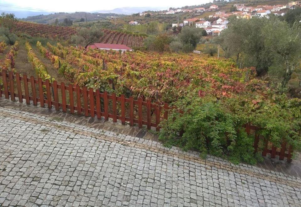 Hotel Casa do Poço - Douro à Peso da Régua Extérieur photo